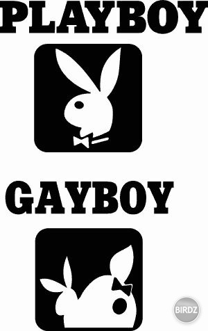 gayboy vs. playboy