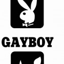 gayboy vs. playboy